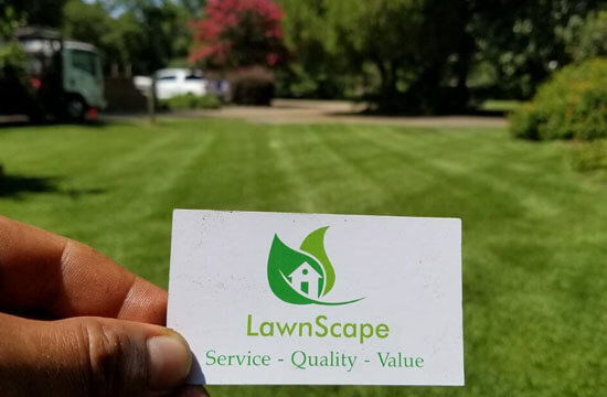 professional lawn maintenance lafayette