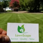professional lawn maintenance lafayette